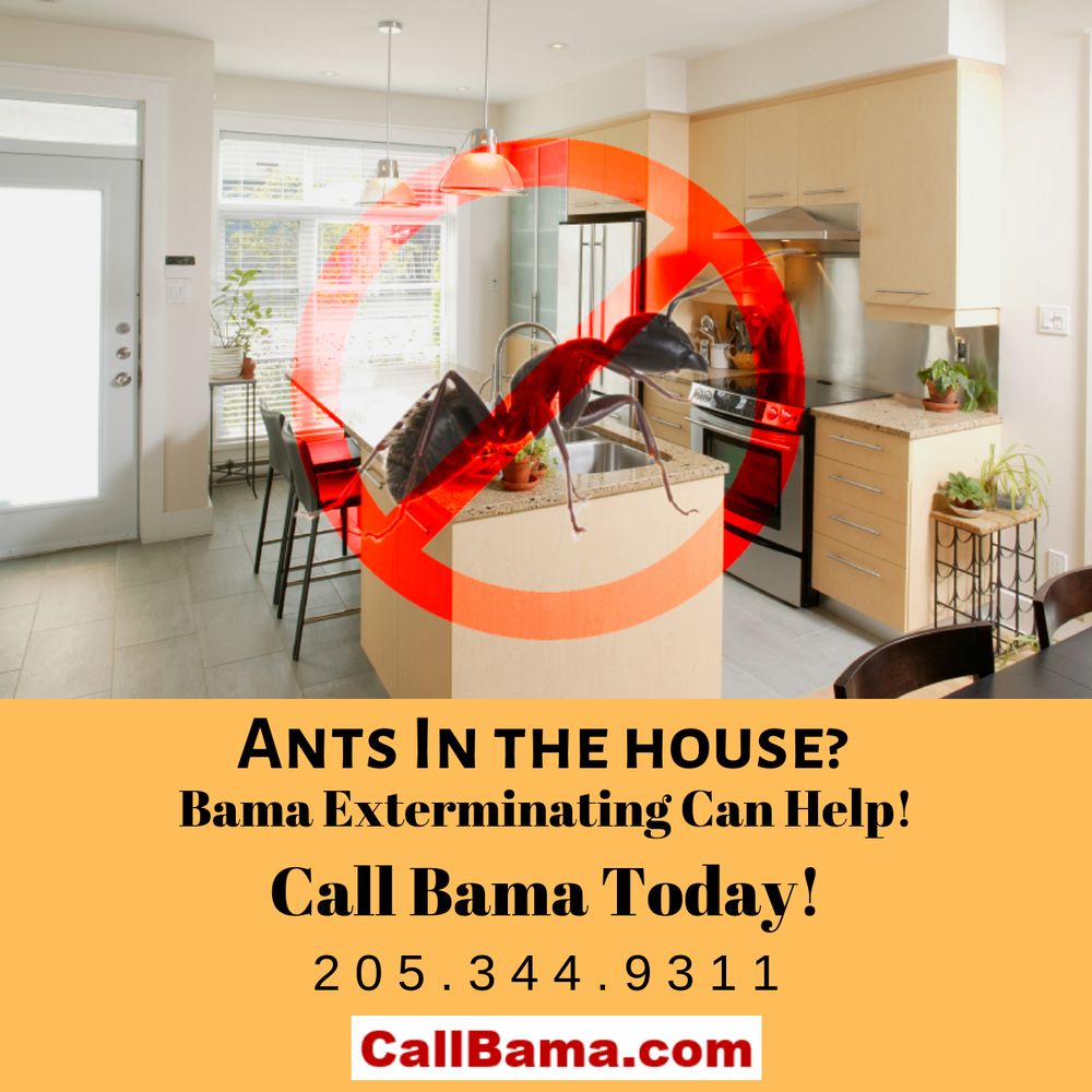 BAMA EXTERMINATING 42 Photos Pest Control 2800 9th St, Northport