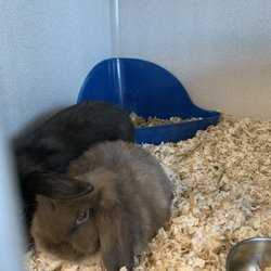 Nebraska Humane Society