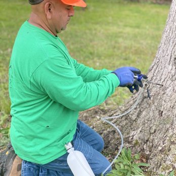 JULIO Castillo - Pest control - Tree Services Near Me JULIO Castillo - Pest control - Tree Services Near Me