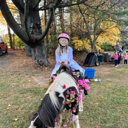 Hogback Mountain Pony Rides - A happy five year old