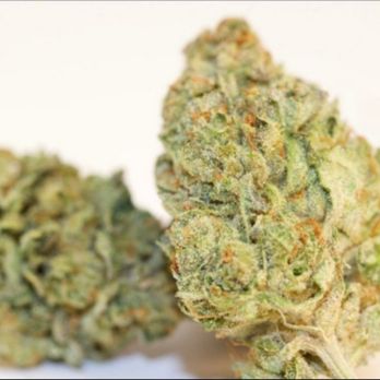 Native Roots - Cannabis Clinics Near Me - Orlando, Florida Native Roots - Cannabis Clinics Near Me - Orlando, Florida