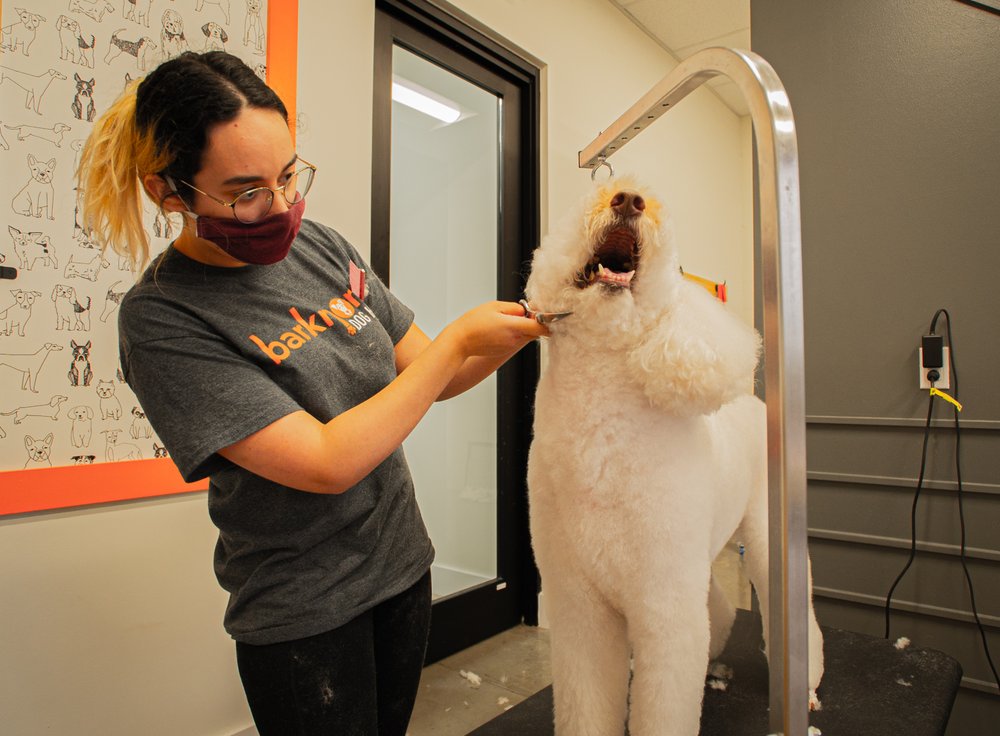 Barknona Dog Hotel Image
