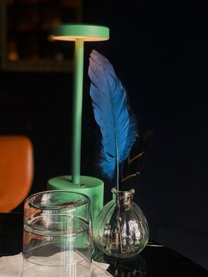 Fallen Feather by null