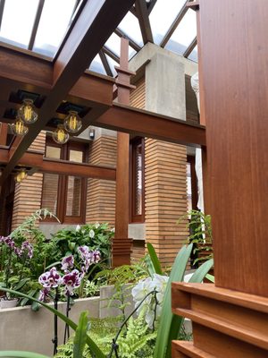Frank Lloyd Wright's Martin House by null