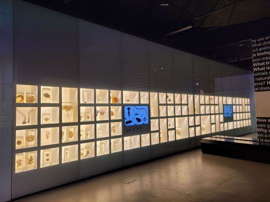 Lee Kong Chian Natural History Museum, Singapore by null