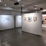 Photo of The Compassion Factory