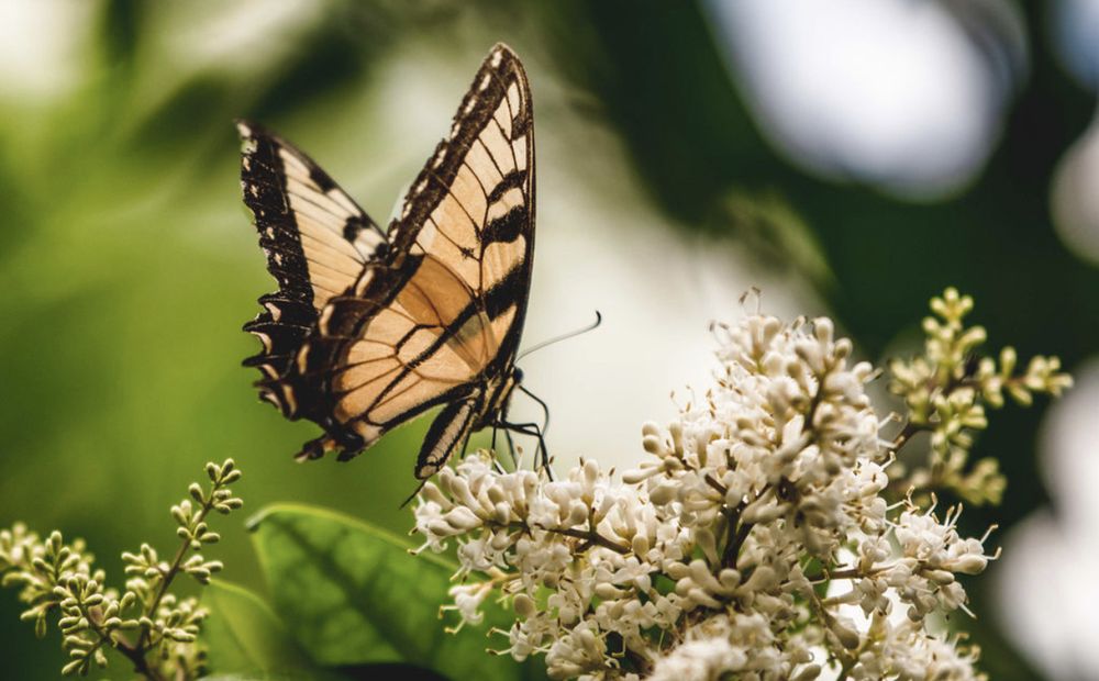 All For You Counseling - grief counselor in Gulfport, MS