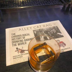 THE ALLEY CAT LOUNGE - 398 Photos & 327 Reviews - 207 W Broughton St