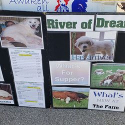River of Dreams - The dog pictures are so cute, from puppy to big cuddly dog.