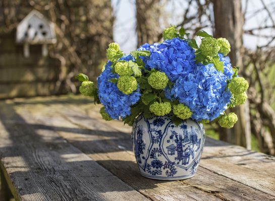 The Bridgehampton Florist by null