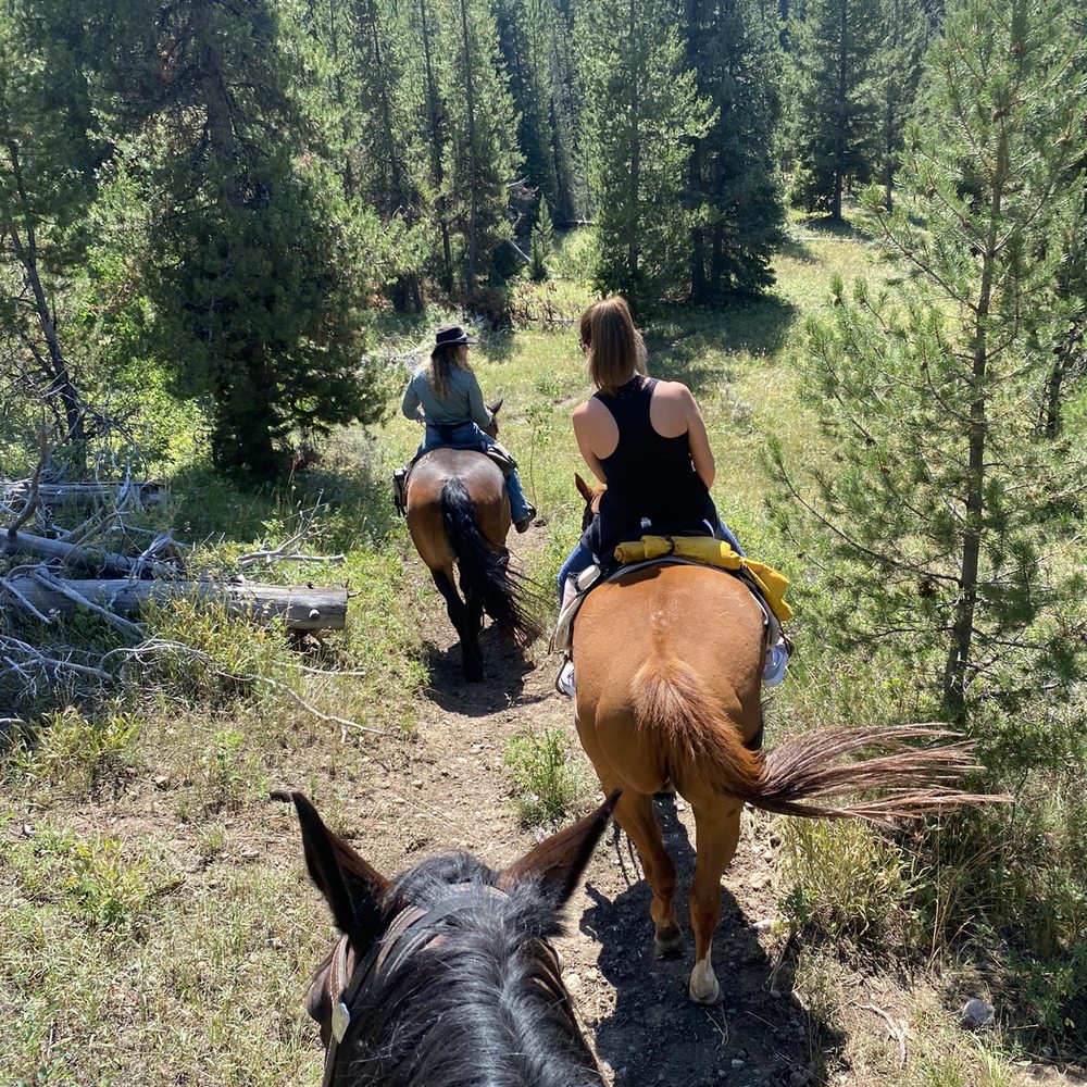 Turpin Meadow Ranch - Ranch Horseback Ride - Resorts Near Me - Moran, Wyoming Turpin Meadow Ranch - Ranch Horseback Ride - Resorts Near Me - Moran, Wyoming