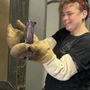 Fuego Hot Glass