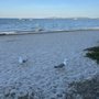 Photo of Les pieds dans l'eau