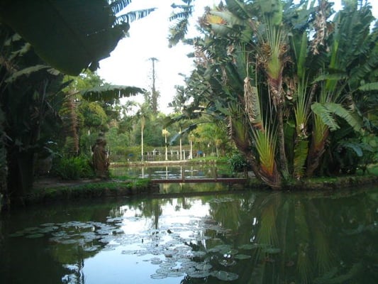 Botanical Garden of Rio de Janeiro by null