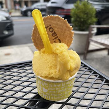 Gelato Dolceria - Mango (small) - Desserts Near Me - Haddonfield, New Jersey