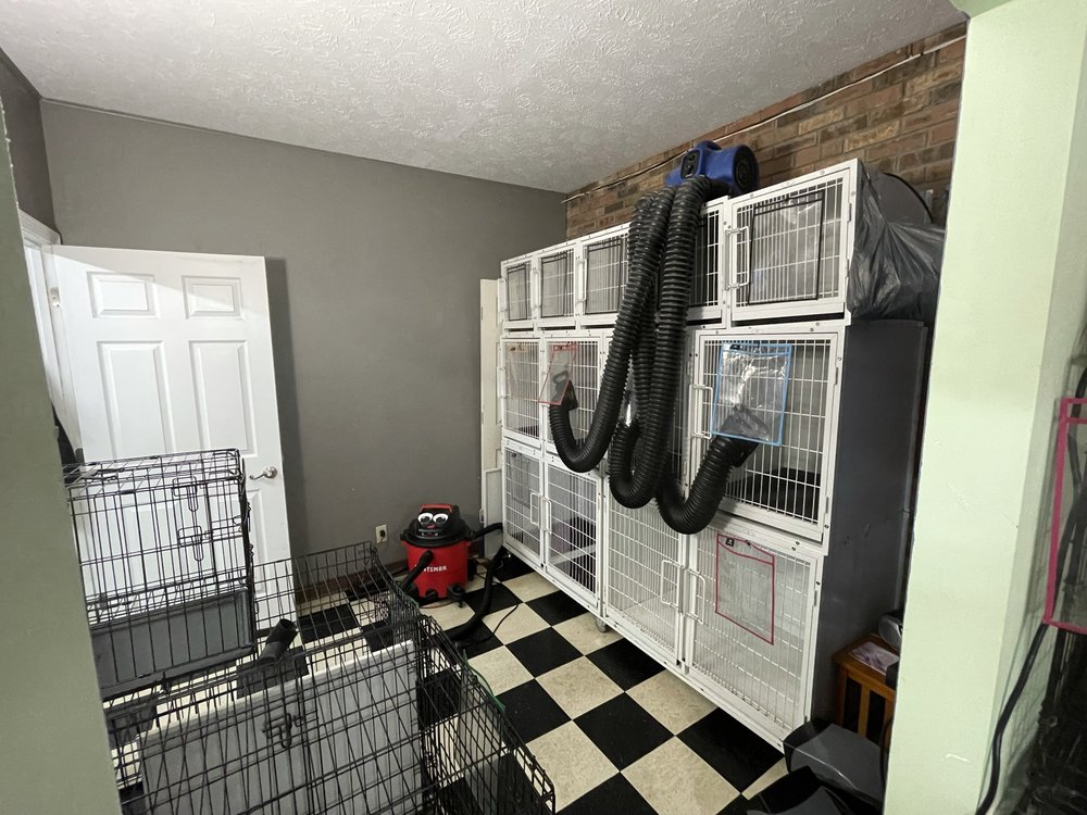 CALLING ALL PAWS Updated October 2024 17 Photos 2613 E Center St