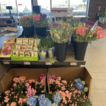 ALDI - Today's flower assortment - Grocery Near Me - Lantana, Florida