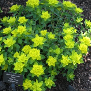 Chicago Botanic Garden - Botanical Gardens Near Me - Glencoe, Illinois