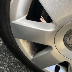 Car-fe' Takapuna - Partially cleaned mags
