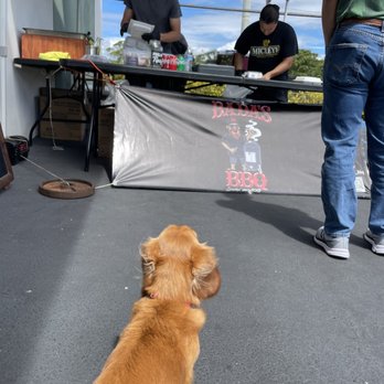 Bada's BBQ - Barbeque Near Me - Honolulu, Hawaii