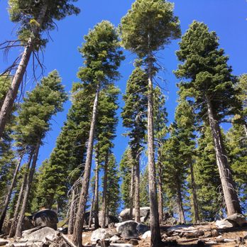 Rubicon Trail - Hiking Near Me Rubicon Trail - Hiking Near Me