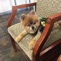 Photo of Yakima Valley Veterinary Clinic