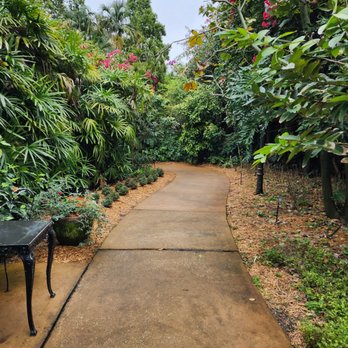 Sunken Gardens - Nurseries & Gardening Near Me - Saint Petersburg, Florida Sunken Gardens - Nurseries & Gardening Near Me - Saint Petersburg, Florida