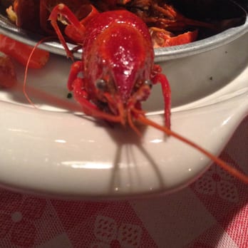 Tooloulous - Cutie - Cajun/Creole Near Me - Banff, Alberta