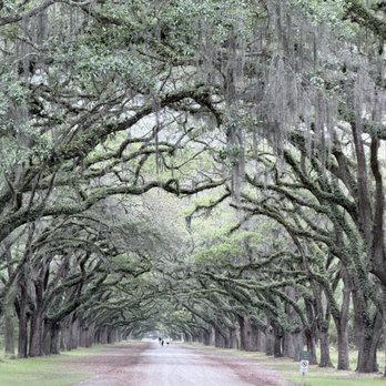 Wormsloe State Historic Site - Landmarks & Historical Buildings Near Me - Savannah, Georgia Wormsloe State Historic Site - Landmarks & Historical Buildings Near Me - Savannah, Georgia