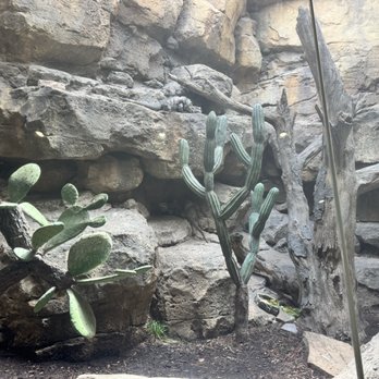 Houston Zoo - Zoos Near Me - Houston, Texas
