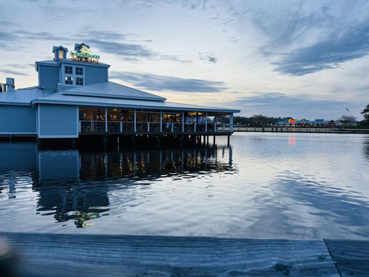 Barefoot Landing by null