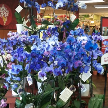 Fry's - Lovely blue and purple orchids. Are these artificially-colored, I wonder? - Grocery Near Me - Scottsdale, Arizona Fry's - Lovely blue and purple orchids. Are these artificially-colored, I wonder? - Grocery Near Me - Scottsdale, Arizona