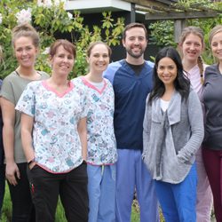 Kenmore Smiles Family Dentistry