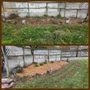 Photo of Faughn Lawn Care
