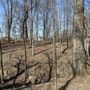 Shale Hollow Park