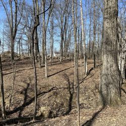 Shale Hollow Park