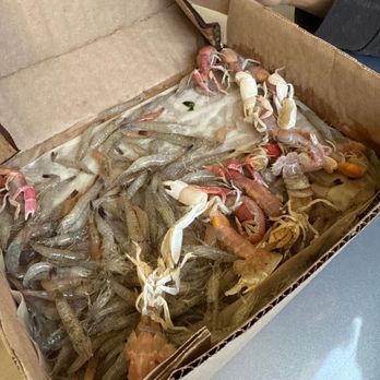 Benicia Bait & Tackle - Grass Shrimp and Ghost Shrimp - Outdoor Gear Near Me - Benicia, California Benicia Bait & Tackle - Grass Shrimp and Ghost Shrimp - Outdoor Gear Near Me - Benicia, California