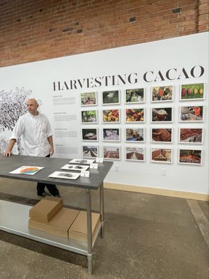 Christopher Elbow Chocolates by null