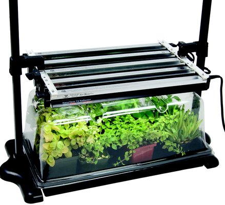 Harvest Moon Hydroponics by null
