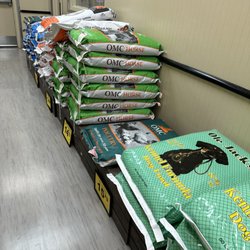 Food Lion - St George