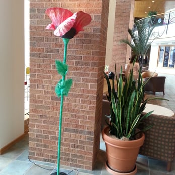 Epic - Software Development Near Me - Verona, Wisconsin