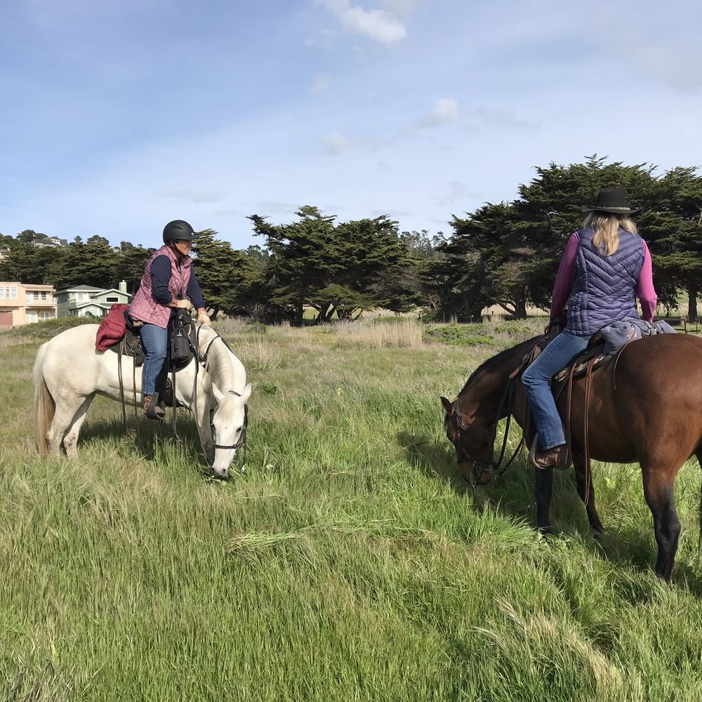 Lampton Cliffs Park - Parks Near Me - Cambria, California Lampton Cliffs Park - Parks Near Me - Cambria, California