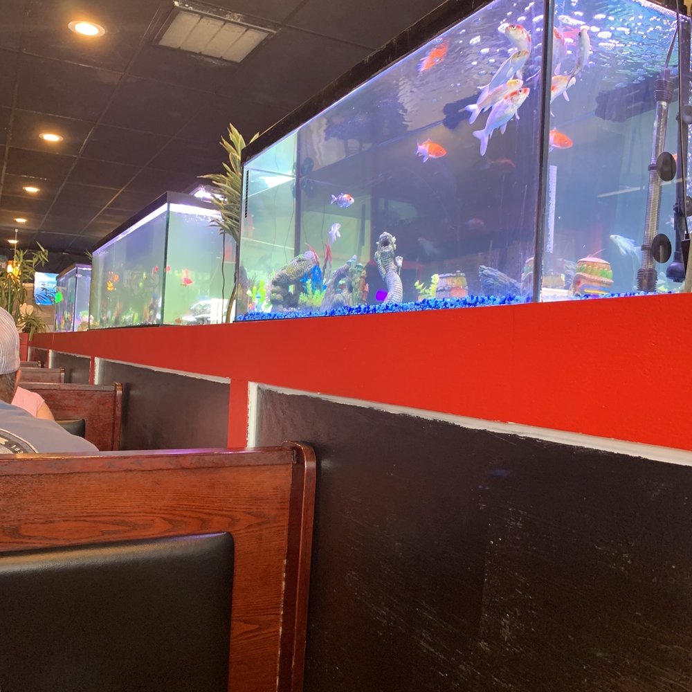 Kokita - Beautiful interior - Sushi Bars Near Me - Sweetwater, Tennessee Kokita - Beautiful interior - Sushi Bars Near Me - Sweetwater, Tennessee