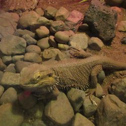 Zoológico Parque Morelos