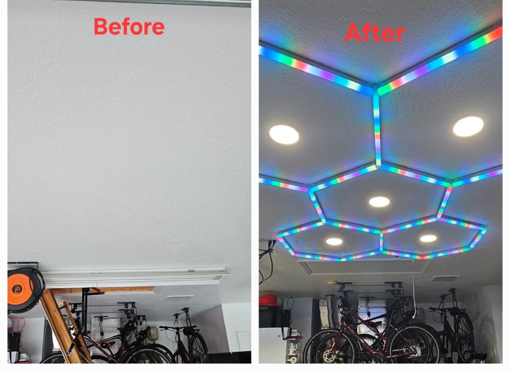 Slide of The Worker Bee