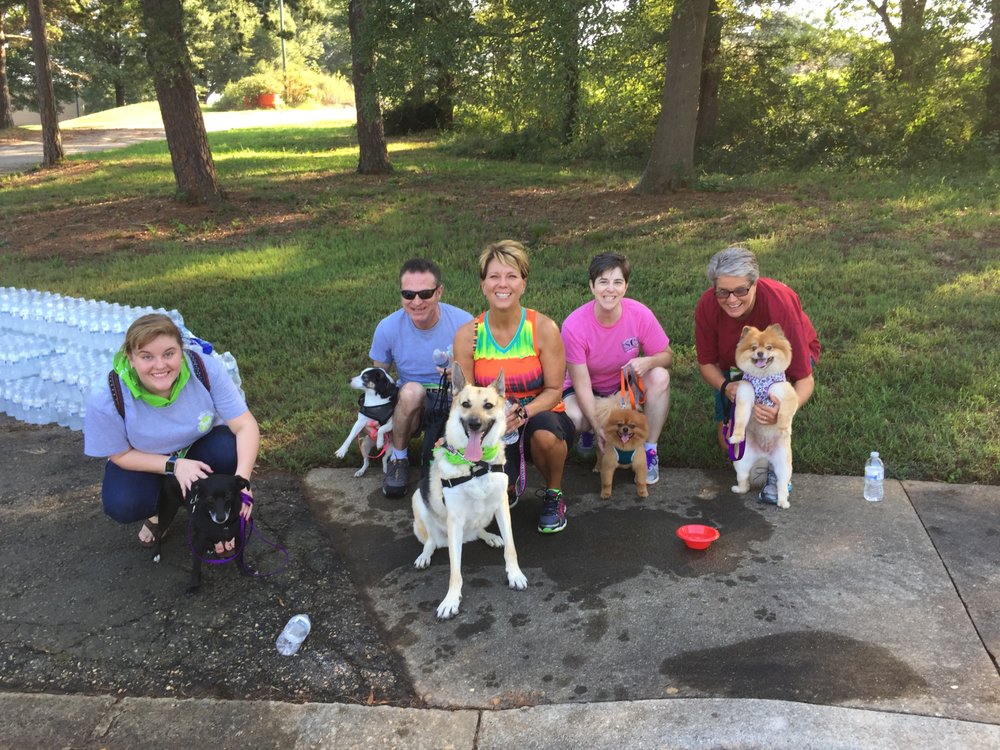 Howls & Meows Pet Sitting & Dog Walking Image