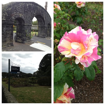 Dove Myer Robinson Park (Parnell Rose Garden) by null