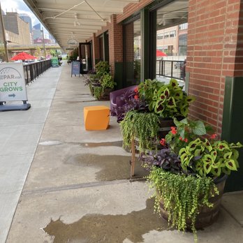 City Grows - Nurseries & Gardening Near Me - Pittsburgh, Pennsylvania City Grows - Nurseries & Gardening Near Me - Pittsburgh, Pennsylvania