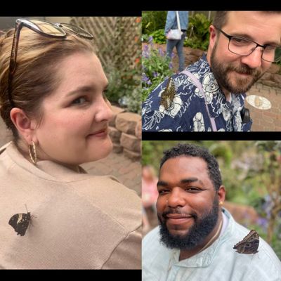 The Original Mackinac Island Butterfly House & Insect World by null