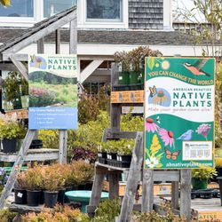 Ponderosa Garden Center
